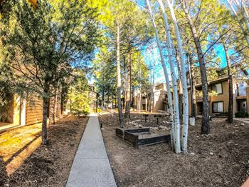 Walking path to nau campus